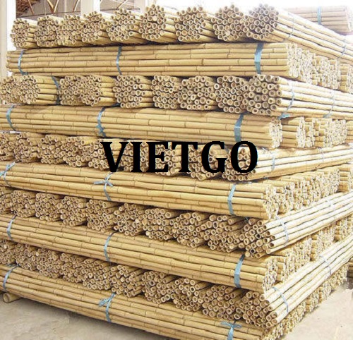 Cơ hội trở thành đối tác cung sản phẩm gậy tre tới thị trường Ấn Độ
