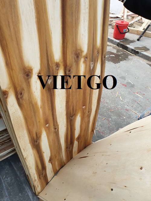 Cơ hội hợp tác với doanh nghiệp Ấn Độ cho đơn hàng xuất khẩu ván bóc