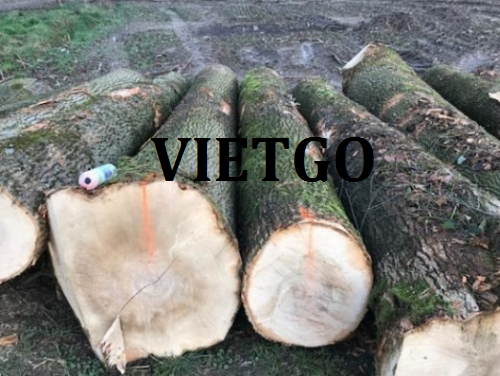 Thương vụ xuất khẩu gỗ tần bì tròn sang thị trường Ý