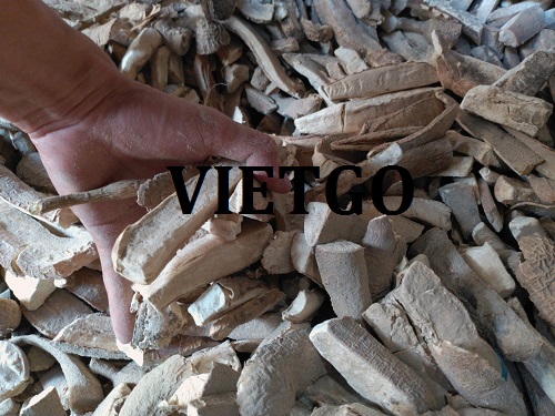 Đối tác đến từ Indonesia cần tìm nhà cung cấp mặt hàng sắn lát
