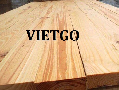Thương vụ xuất khẩu mặt hàng gỗ bạch đàn sang thị trường Ấn Độ