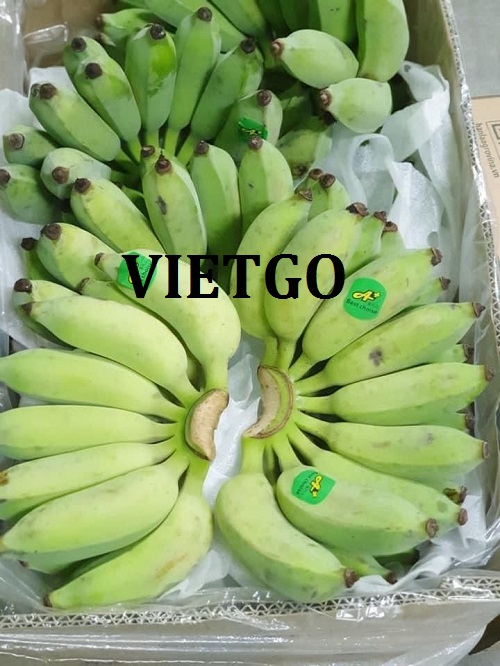 Cơ hội hợp tác xuất khẩu sản phẩm chuối sang thị trường Hàn Quốc