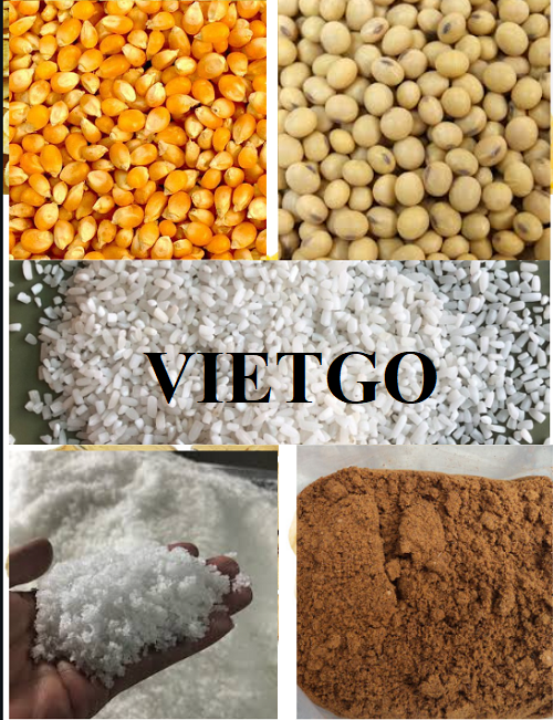 Một doanh nhân đến từ Mỹ muốn tìm đối tác để mở công ty xuất nhập khẩu mặt hàng nông sản tại Việt Nam