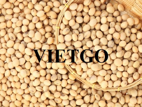 Thương vụ xuất khẩu mặt hàng đậu nành sang thị trường Lào