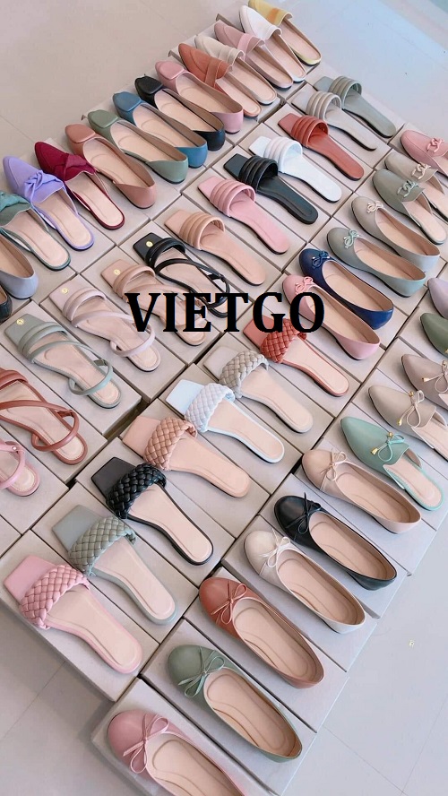 Đối tác đến từ Malaysia đang tìm kiếm nhà cung cấp cho sản phẩm giày dép da