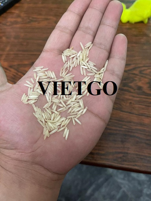 Cơ hội xuất khẩu gạo sang thị trường Ả Rập Xê Út