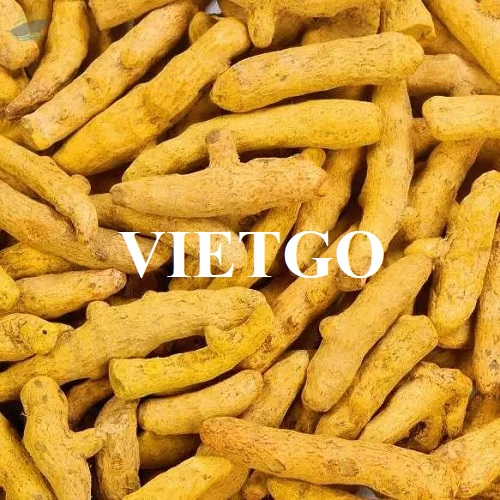 Cơ hội hợp tác với doanh nghiệp đến từ UAE cho sản phẩm nghệ khô
