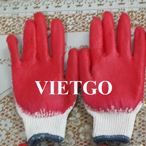 Cơ hội xuất khẩu găng tay lao động sang thị trường Hàn Quốc