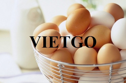 Cơ hội hợp tác xuất khẩu trứng đến từ một doanh nghiệp nước Anh