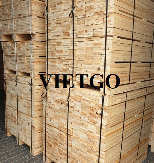 Thương vụ xuất khẩu gỗ thông xẻ sang thị trường Israel