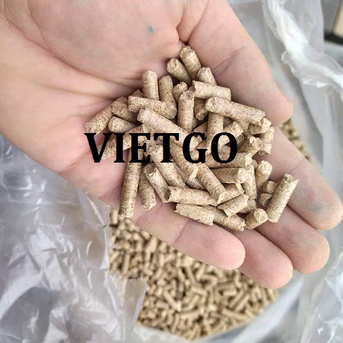 Cơ hội xuất khẩu 30 container 20ft viên nén mùn cưa mỗi tháng sang thị trường Ý