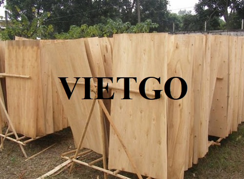 Thương vụ xuất khẩu ván bóc thị trường Ấn Độ