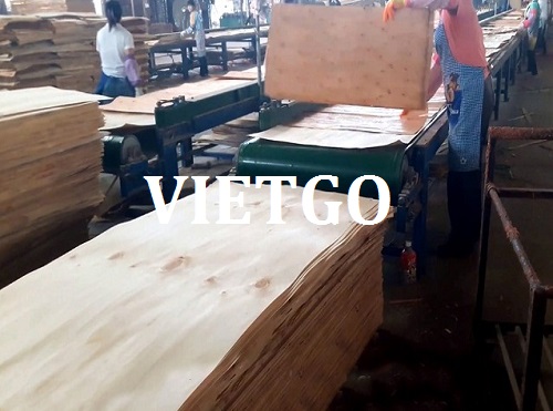 Thương vụ xuất khẩu ván bóc sang thị trường Trung Quốc