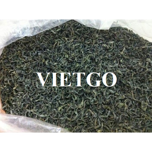 Cơ hội xuất khẩu chè xanh sang thị trường Afghanistan
