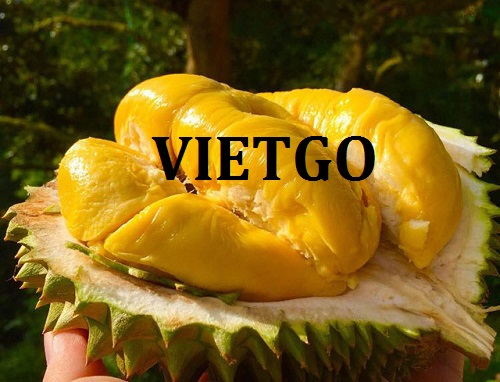 Cơ hội hợp tác đầy hấp dẫn với doanh nghiệp lớn tại Singapore cho đơn hàng nhập khẩu sầu riêng