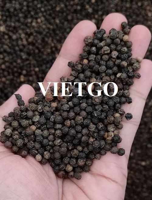 Cơ hội xuất khẩu hạt tiêu sang thị trường Ấn Độ
