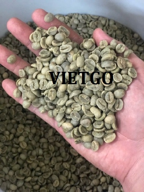 Cơ hội hợp tác với vị khách hàng tiềm năng cho đơn hàng xuất khẩu cà phê sang thị trường Nga