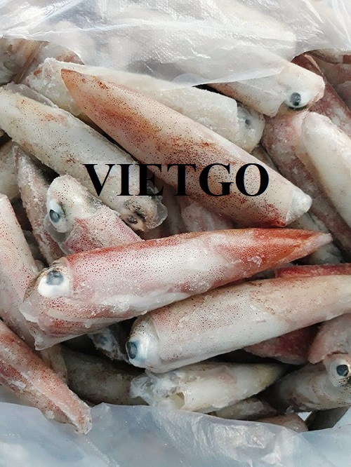 Cơ hội xuất khẩu mực sang thị trường UAE