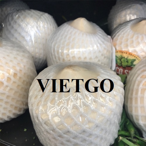 Cơ hội hợp tác đầy hấp dẫn với doanh nghiệp lớn tại Singapore cho đơn hàng nhập khẩu dừa