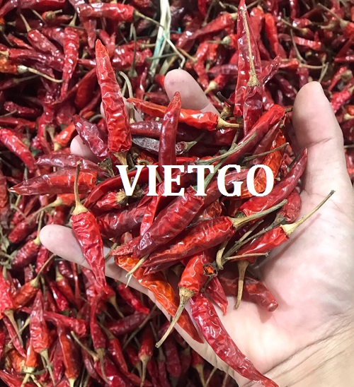 Thương vụ xuất khẩu ớt khô sang thị trường Sri Lanka