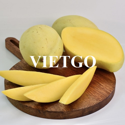Cơ hội hợp tác với doanh nghiệp tại Thụy Sĩ cho đơn hàng nhập khẩu xoài tươi đến các thị trường tại châu Âu