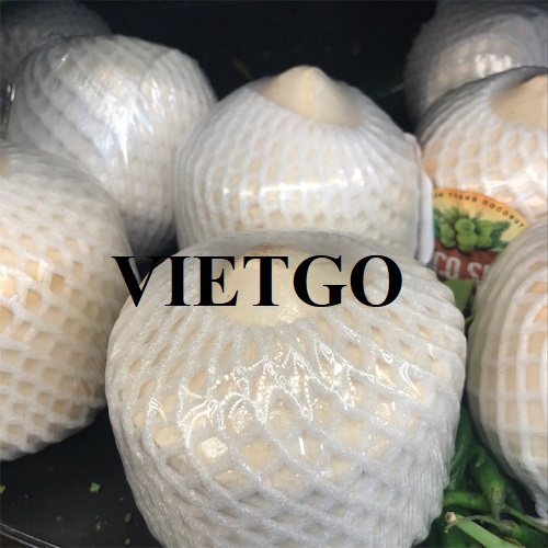 Cơ hội hợp tác với doanh nghiệp tại Thụy Sĩ cho đơn hàng nhập khẩu dừa tươi đến các thị trường tại châu Âu