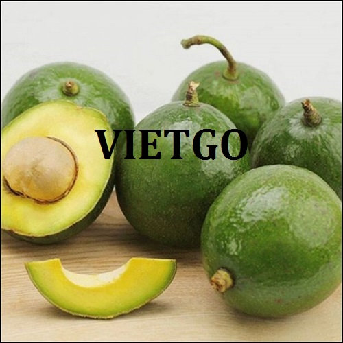 Cơ hội hợp tác với doanh nghiệp tại Thụy Sĩ cho đơn hàng nhập khẩu bơ tươi đến các thị trường tại châu Âu