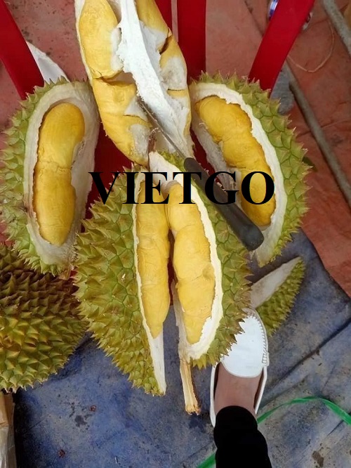 Thương vụ xuất khẩu sản phẩm sầu riêng sang thị trường Thụy Sĩ