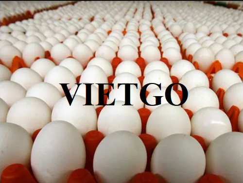Thương vụ xuất khẩu trứng gà sang thị trường Qatar