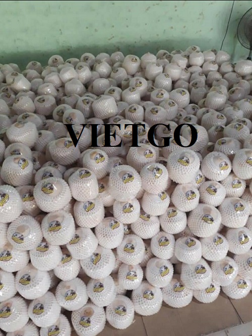 (Gấp) Cơ hội hợp tác xuất khẩu mặt hàng dừa tươi sang thị trường Dubai