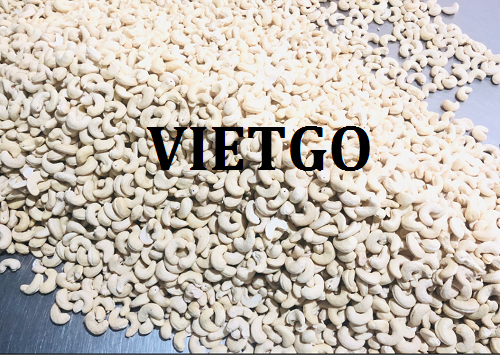 Cơ hội hợp tác xuất khẩu hạt điều sang thị trường Hà Lan