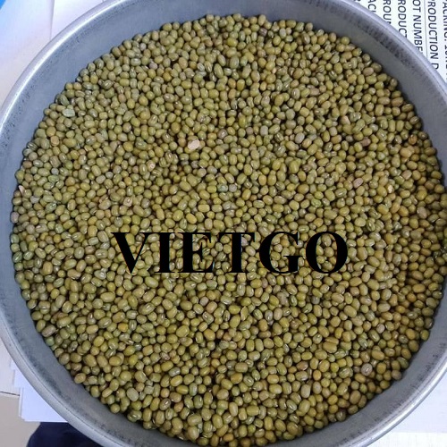Thương vụ xuất khẩu đỗ xanh sang thị trường Nepal