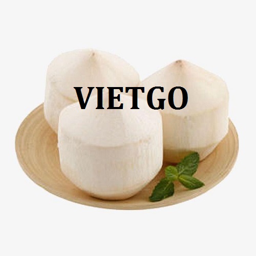 Cơ hội giao thương đến từ vị khách hàng người UAE cho sản phẩm quả dừa