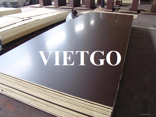Thương vụ xuất khẩu 5000 tấm gỗ dán phủ phim sang thị trường Iran