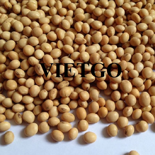 Cơ hội hợp tác xuất khẩu sản phẩm đậu nành sang thị trường Trung Quốc