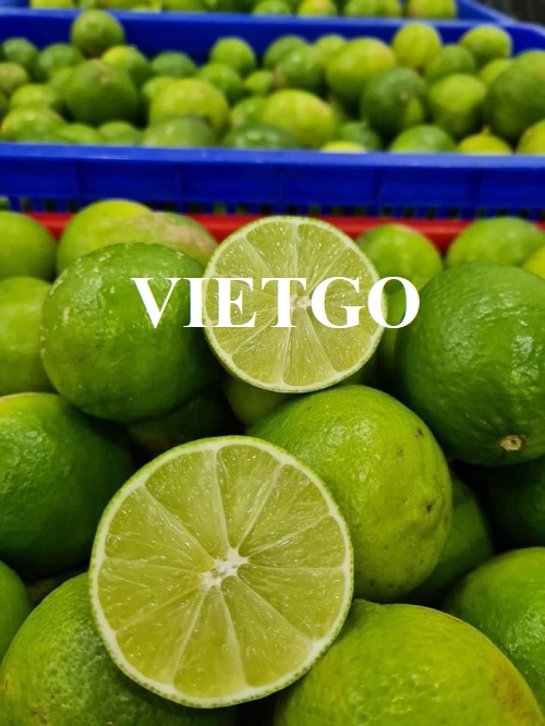 Cơ hội hợp tác xuất khẩu sản phẩm chanh tươi sang thị trường Oman