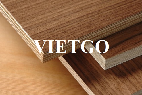Cơ hội hợp tác với doanh nghiệp Ấn Độ cho đơn hàng xuất khẩu gỗ dán phủ melamine