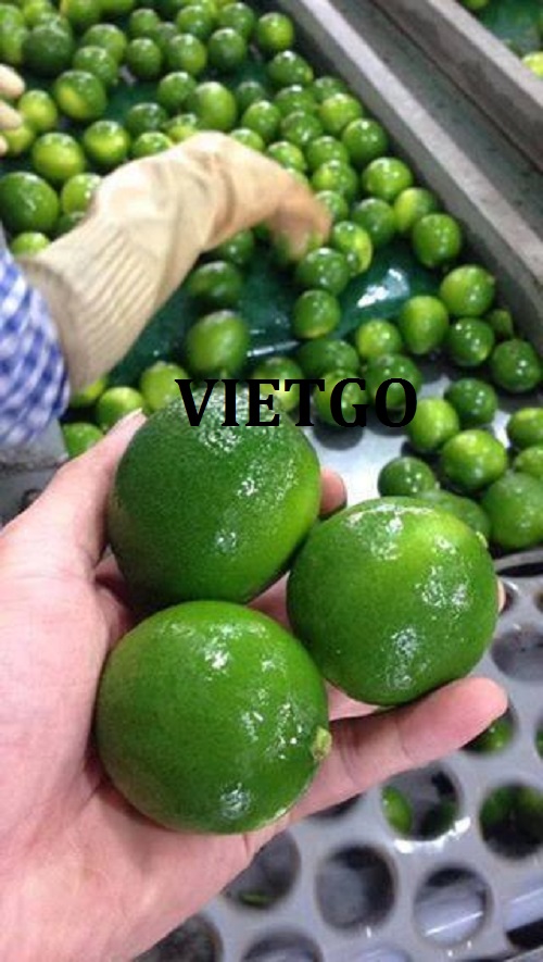 Cơ hội hợp tác xuất khẩu mặt hàng chanh tươi sang thị trường Dubai, Oman và Ả Rập Xê Út