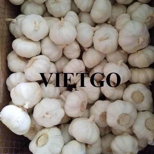 Cơ hội giao thương xuất khẩu tỏi trắng đến thị trường Indonesia