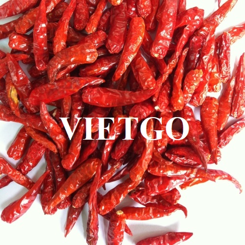 Cơ hội hợp tác với doanh nghiệp tại Trung Quốc cho đơn hàng ớt khô