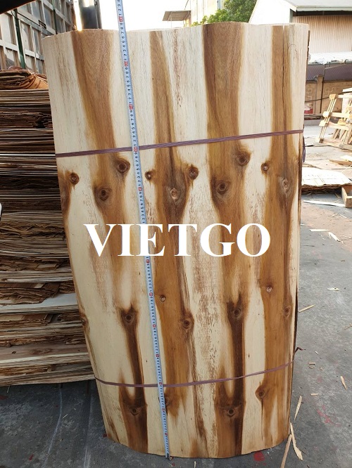 Thương vụ xuất khẩu ván bóc sang thị trường Trung Quốc