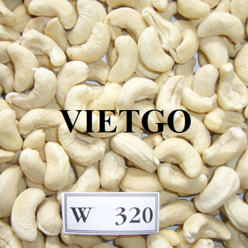 (Gấp) Thương vụ hợp tác xuất khẩu sản phẩm hạt điều tới thị trường Anh