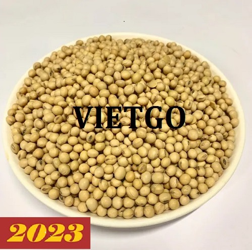 Cơ hội hợp tác xuất khẩu sản phẩm đậu nành đến thị trường Trung Quốc