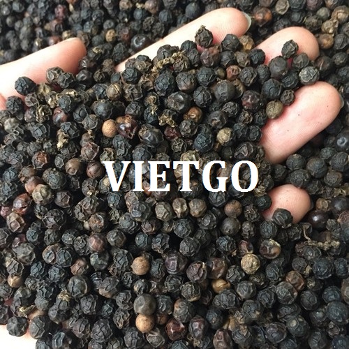 Cơ hội hợp tác với doanh nghiệp Ấn Độ đơn hàng hạt tiêu