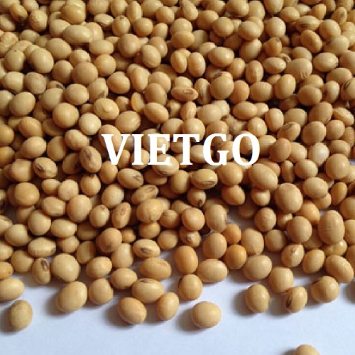 Cơ hội hợp tác xuất khẩu sản phẩm đậu nành sang thị trường Trung Quốc