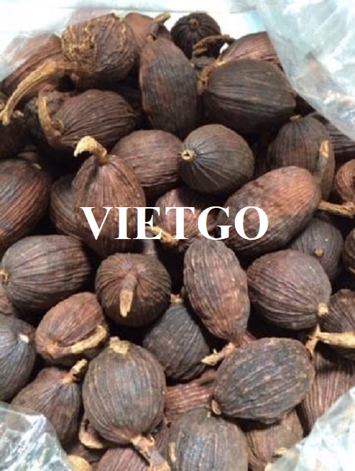 Cơ hội hợp tác với doanh nghiệp Ấn Độ đơn hàng thảo quả