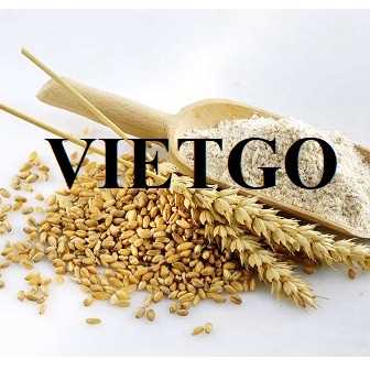Cơ hội giao thương xuất khẩu bột mì sang thị trường Bỉ