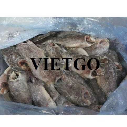 Cơ hội giao thương xuất khẩu cá rô phi sang thị trường UAE