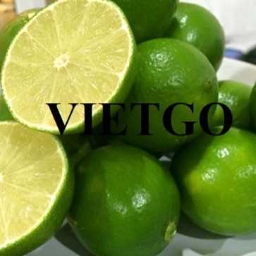 Cơ hội giao thương xuất khẩu chanh xanh không hạt đến thị trường Thái Lan