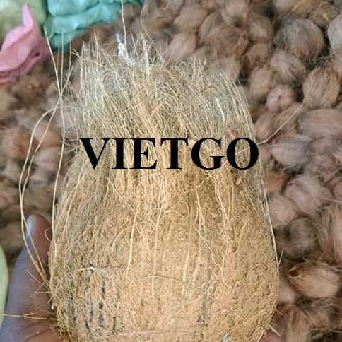 Cơ hội giao thương xuất khẩu dừa khô từ một vị khách hàng người Sri Lanka